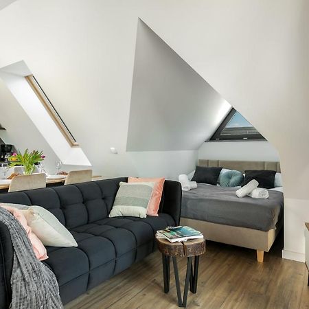 Apartament L13 Z Basenem, Sauna I Widokiem Na Tatry بيالكا تاترزانسكا المظهر الخارجي الصورة